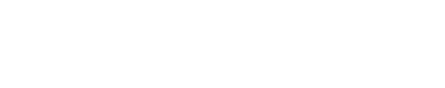 Main Logo (Light Version)